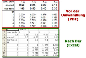 PDF in Excel Umwandeln Result